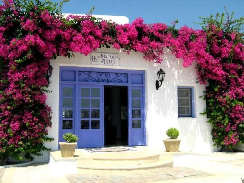 Hotel Anatolia Ano Mera Grecia